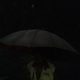 There is a person holding an umbrella in this picture, taken during the day.